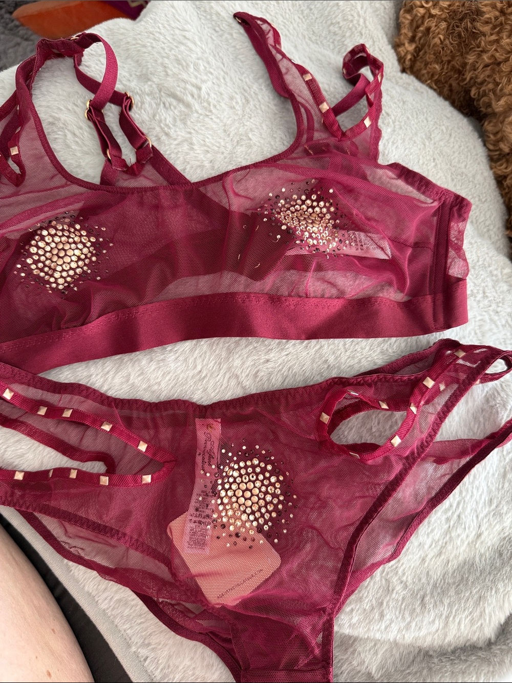 Agent Provocateur Sheer Embellished Bralette & Bikini in Burgundy